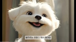 [최재용이 만난 사람들] 임성주 AI 영화감독 홀로그램 투 파리로 SIAFF 서울국제AI영화제서 대상 수상