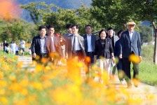 밀양시, 제4회 산외꽃담뜰 해바라기 축제 성황리에 마쳐