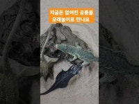[김진선 인터뷰] 월계동 보배유치원 송영자 원장의 아이사랑 이야기