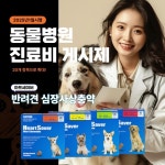 반려견 심장사상충 예방약 처방 및 진료비 공개…오는 1월부터 동물병원 진료비 게시 항목 확대 시행