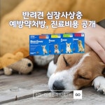 반려견 심장사상충 예방약 처방 및 진료비 공개…오는 1월부터 동물병원 진료비 게시 항목 확대 시행