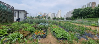 파주, 시민주말농장 신청 시작… 농업 체험 기회 제공