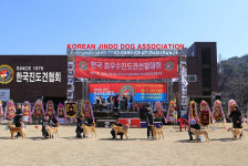 제71회 전국 우수진돗개 선발대회, 한국진도견협회 출범 55주년과 함께한다