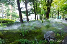 영등포구, 기후위기 취약계층 지원사업 3년 연속 선정…서울시 자치구 중 최대