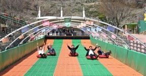 창녕군 산토끼노래동산, 8일부터 눈 없어도 신나는 썰매 타러 오세요...~♬