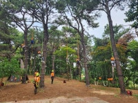 죽화초등학교, 자연 속에서 도전과 성장을 배우는 트리클라이밍체험수업 운영