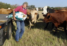미국, 중국인 농지 매입 전면 금지 추진..대한민국은?