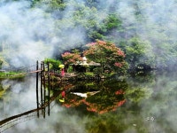 천희숙 작가·장기순 작가, 스마트미디어아트센터 사진공모전 대상·최우수상 수상
