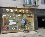 [김형 기자의 인터뷰] 동작구에서 10년째 사랑받는 밀크펫살롱, 고객 만족도 1등을 만들어낸 로컬 프리미엄 펫살롱