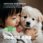강아지 결막염·유루증 치료 어떻게? 아이세이버, 증상별 치료법∙관리법 공개