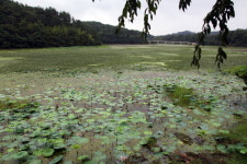 배운 바를 실천에 옮긴 지식인의 흔적이 깃든 부사정
