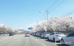 진주시 주차공간 부족 몸살