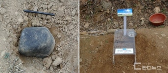 [공룡기획-3부] 세계 최대급 진주 공룡 화석, 보호·전시 시설은 세계 최악