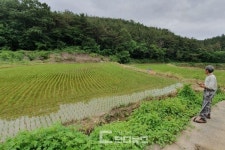 진주시 대곡면 돼지 농장 오폐수 농경지·남강 유출