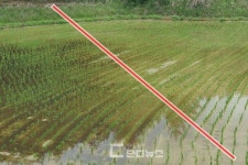 진주시 대곡면 돼지 농장 오폐수 농경지·남강 유출