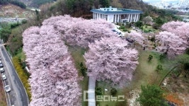 진주연암도서관 26일부터 휴관, 종합경기장에 임시도서관 운영