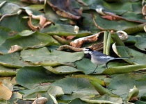 한잠을 푹 자고 난 것처럼 개운한 나만의 비밀 정원 같은 진주 초전공원