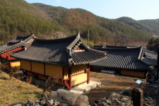 의사가 싫어하는 나무, 응석사 무환자나무를 찾아