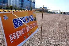 멸종위기 흰목물떼새, 충무공동에 알 4개 낳아..부화 예정