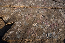 진주 정촌 공룡화석산지, 국가문화재 지정 코앞