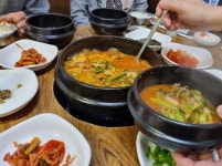 [한중권의 역사 생태 체험] 밀양 나무 어른을 만난 즐거움