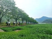 [숲샘의 지리산 초록걸음] 고개 넘고 징검다리 건너 만나는 봄