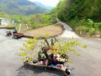 [숲샘의 지리산 초록걸음] 고개 넘고 징검다리 건너 만나는 봄