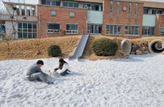 [한중권의 생태·역사기행] 시냇물이 흐르는 밀주초등학교 학교숲