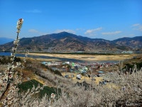 [숲샘의 지리산 초록걸음] 매화에 취해 백운산 둘레길을 걷다