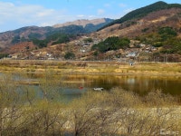 [숲샘의 지리산 초록걸음] 매화에 취해 백운산 둘레길을 걷다