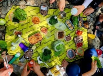 [숲샘의 지리산 초록걸음] 남명의 발자취 따라 백운동계곡을 걷다