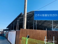 진주서 버려지는 동물 한 달 100마리, 새 주인 기다린다