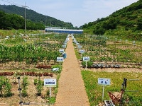 진주 내동면 시민텃밭 분양해