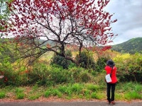 [숲샘의 지리산 초록걸음]아픈 지리산을 껴안다.