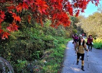 [숲샘의 지리산 초록걸음] 가을빛으로 물든 천년다향길을 걷다