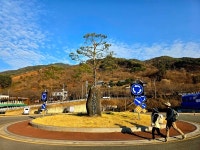 [숲샘의 지리산 초록걸음] 섬진강 따라 봄바람 꽃길을 걷다