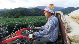 [방송제작 후기] 고추 붉게 익는 마을 경북 영양 일월산 도곡리-3