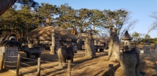 [이동호의 역사이야기] 서초구 내곡동 헌인릉(獻仁陵)