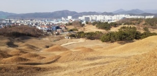 [이동호의 역사이야기] 대구 불로동 고분군(古墳群)과 달성공원(达城公园) 탐방기