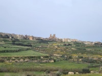 [동행기] 유럽총연의 몰타 문화탐방… 십자군 전쟁의 잔상을 보다