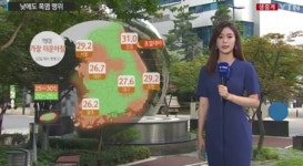 [SR 경제&라이프] 오늘도 폭염 도로가 찜질방 서울 36도 강릉36 대전35 광주36 대구37 제주33도