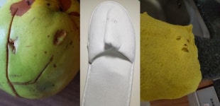 [오승건 시인의 사물놀이] 누군가 보고 있다