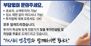 오에이인베스트먼트앤컨설팅 | [SR경제&라이프] FX시티 영웅점 '초보자 대상 FX마진거래' 맞춤 투자 컨설팅