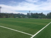 [지자체의 SR] 의정부시, 스포츠복지 예산 확보 총력