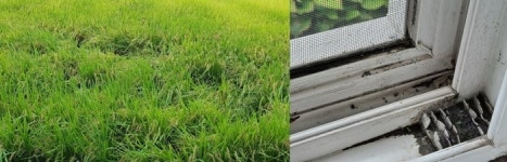 [오승건 시인의 사물놀이] 살아있네