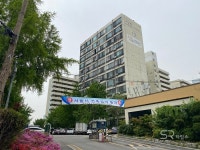 장미 사진 2