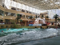 [SR산업] 비발디파크 오션월드 실내존 운영…내달 야외존 오픈
