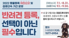 [지자체의SR] 경북도, 동물등록 자진신고 및 집중단속 기간 운영
