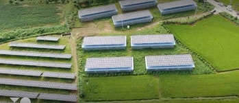 [SR공정운영] 文정부 태양광 비리 적발…혈세 2600억원 부당지원