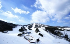 30주년 웰리힐리파크 스노우파크, 5일 겨울 맞이 스키장 개장